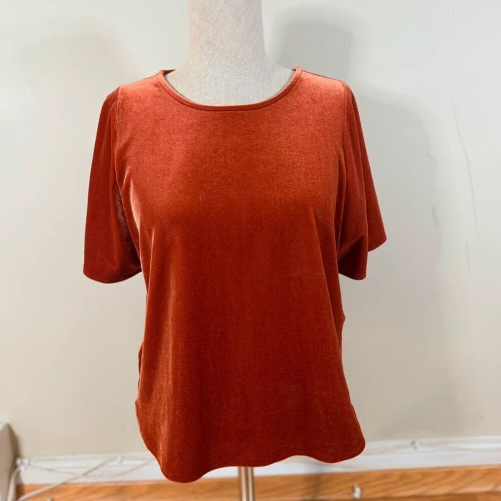 Madewell Velvet Butterfly Top Dark Cinnabar Orange XS Fall Autumnal Velour Cozy